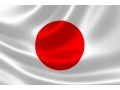 Détails : Neokyo, l'intermédiaire de vos achats au Japon