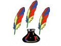 Détails : plumes multicolores