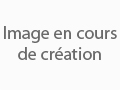 Détails : AGK SECURITE PRIVEE 