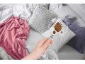 Détails : Se débarrasser des punaises de lit : l'essentiel à faire